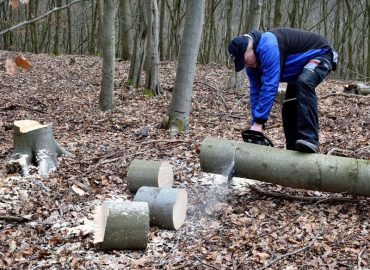 Material forestal